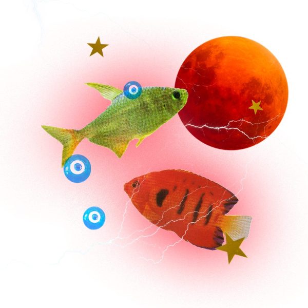 What you need to know about September’s lunar eclipse in Pisces