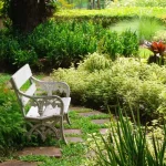 Magical Herb Gardens: Create an Enchanted Garden with Esoteric Plants