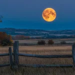 Mark Your Calendars: The Hunter’s Moon Illuminates the Night on October 17, 2024