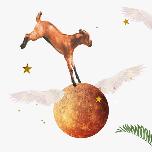 Horoscopes for Mercury in Capricorn, 2025