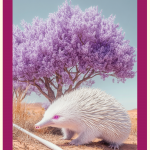 Tarot Card of the Week (May 26–June 1, 2025): The Magician
