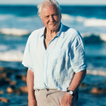 David Attenborough – one of a kind