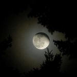 Full Moon In Scorpio May 2025 – No Turning Back