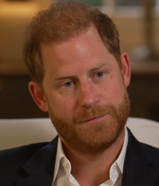 Prince Harry – tilting at windmills