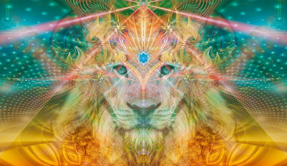 New Moon in Leo – Point of Power