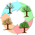 Cycles of Life – Saturn, Uranus, Neptune, Pluto