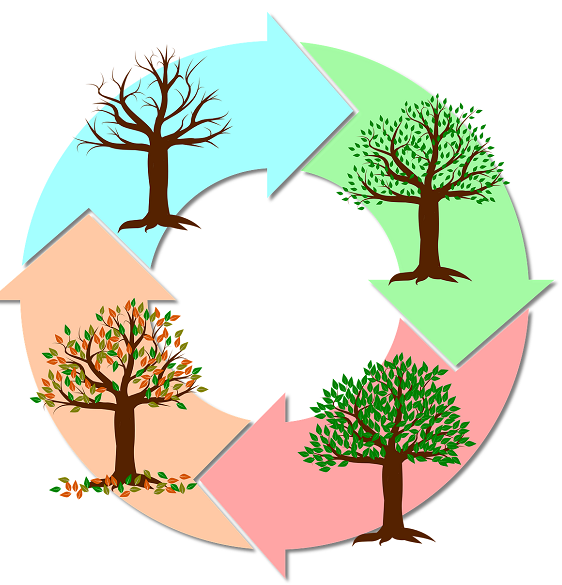 Cycles of Life – Saturn, Uranus, Neptune, Pluto