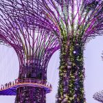 Singapore – wealth and  scary neighbours
