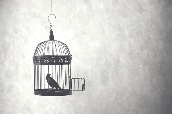 Uranus Goes Retrograde – Freedom Must Be Earned