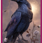 Tarot Card of the Week for October 6–12 Death: The Beauty of Becoming