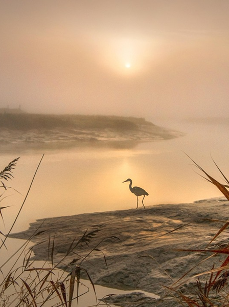 August Solar Eclipse – prospect of relief