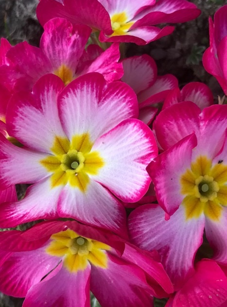 Questions and Astro Comments