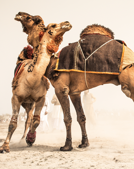 Middle East – the old hostilities will linger