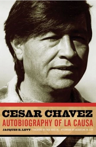 Cesar Chavez – toppled off his pedestal
