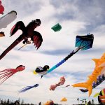 Changing Your Mind: A Fleeting Kite