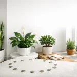 5 Plants That Absorb Negative Energy (According to Your Zodiac Sign)